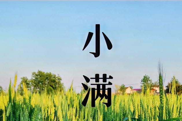 今日小满，人生，不必太满，小满未满，即是圆满。
老话讲月盈则亏，水满则溢，万事太