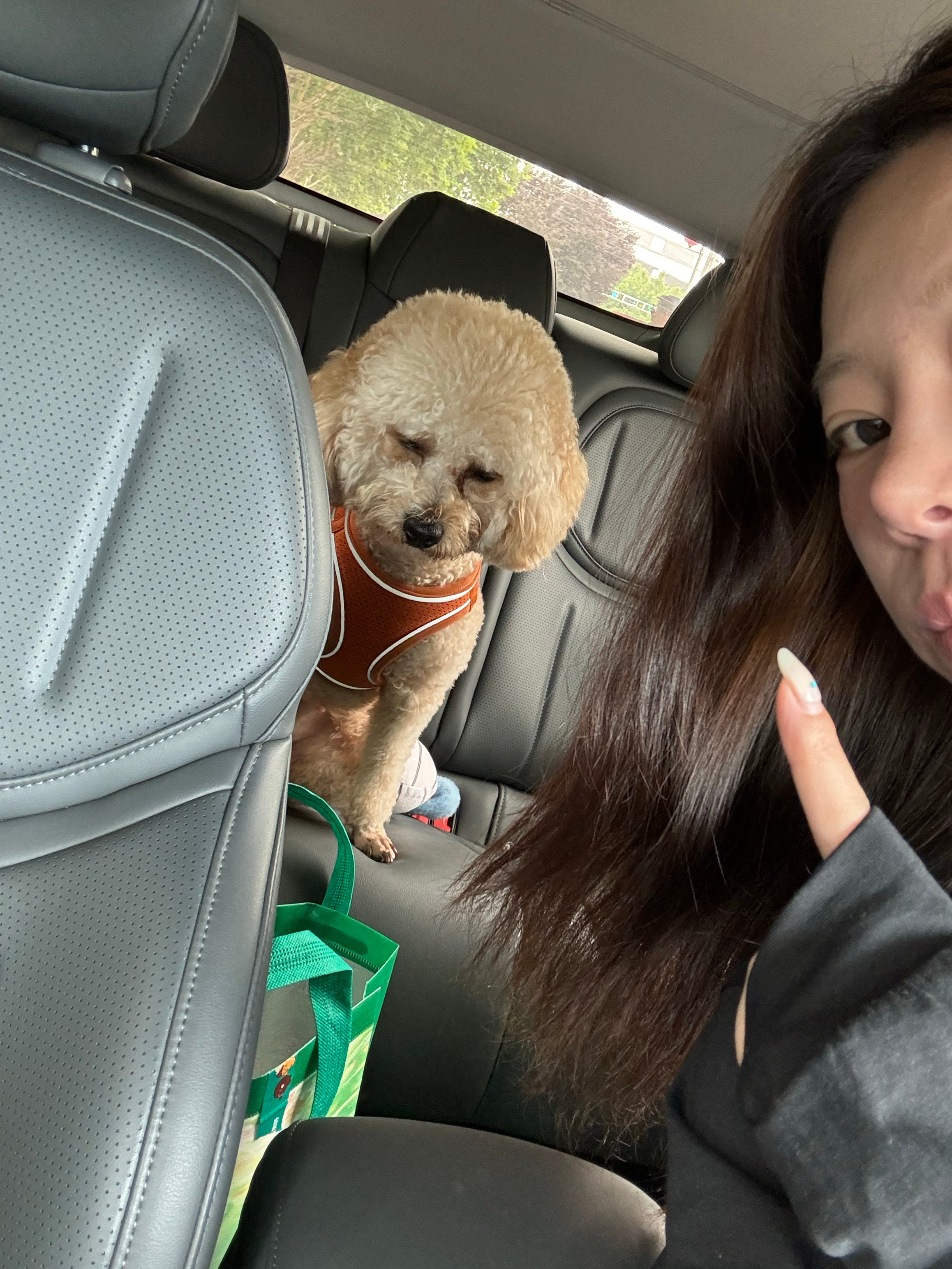 我开车 你副驾 每个红灯亲一下 