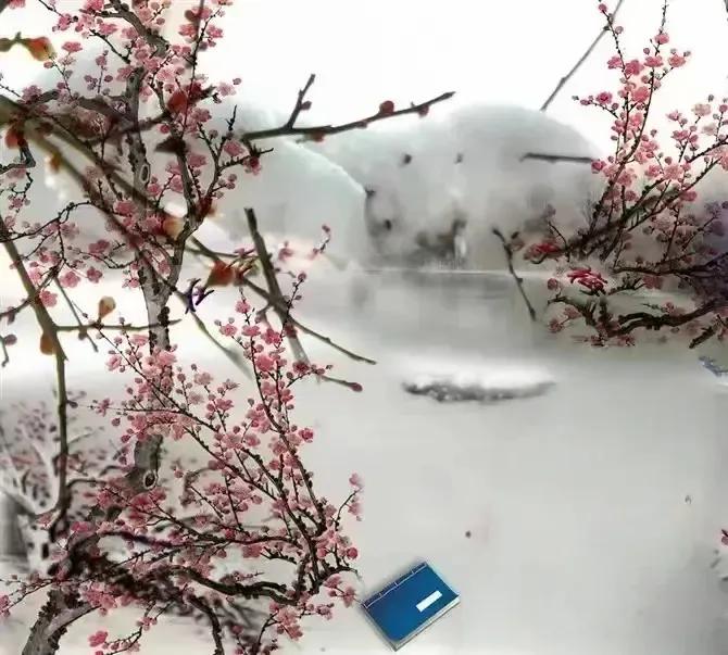 七律•琼花飞天醉如仙
芳芳



是夜琼花飞满天，枝肥鸦瘦觉衣单。
双双鹅印瑶阶