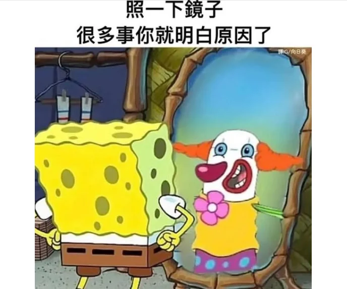 照一下镜子 很多事就明白了