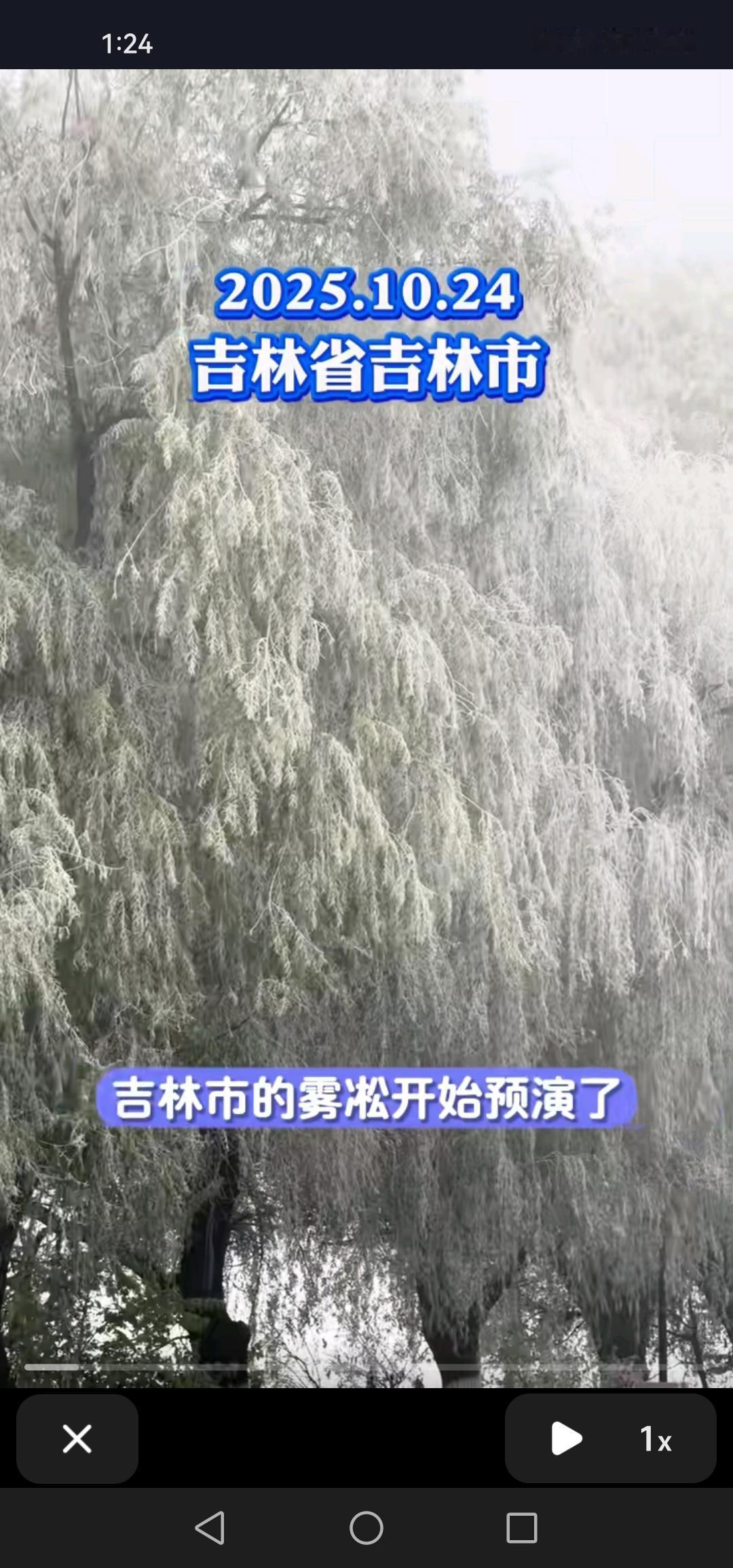 10月24号，吉林市邂逅了首场雾凇奇观，这个冬天着实令人期待！

今日清晨，吉林