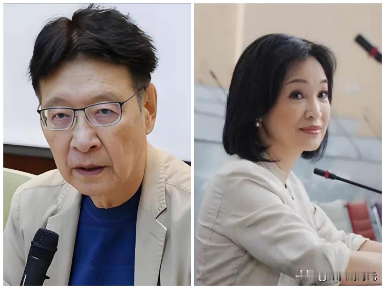 终于明白了，以国民党主席郑丽文为首的国民党中央为什么不处理赵少康了，哪怕中常委发