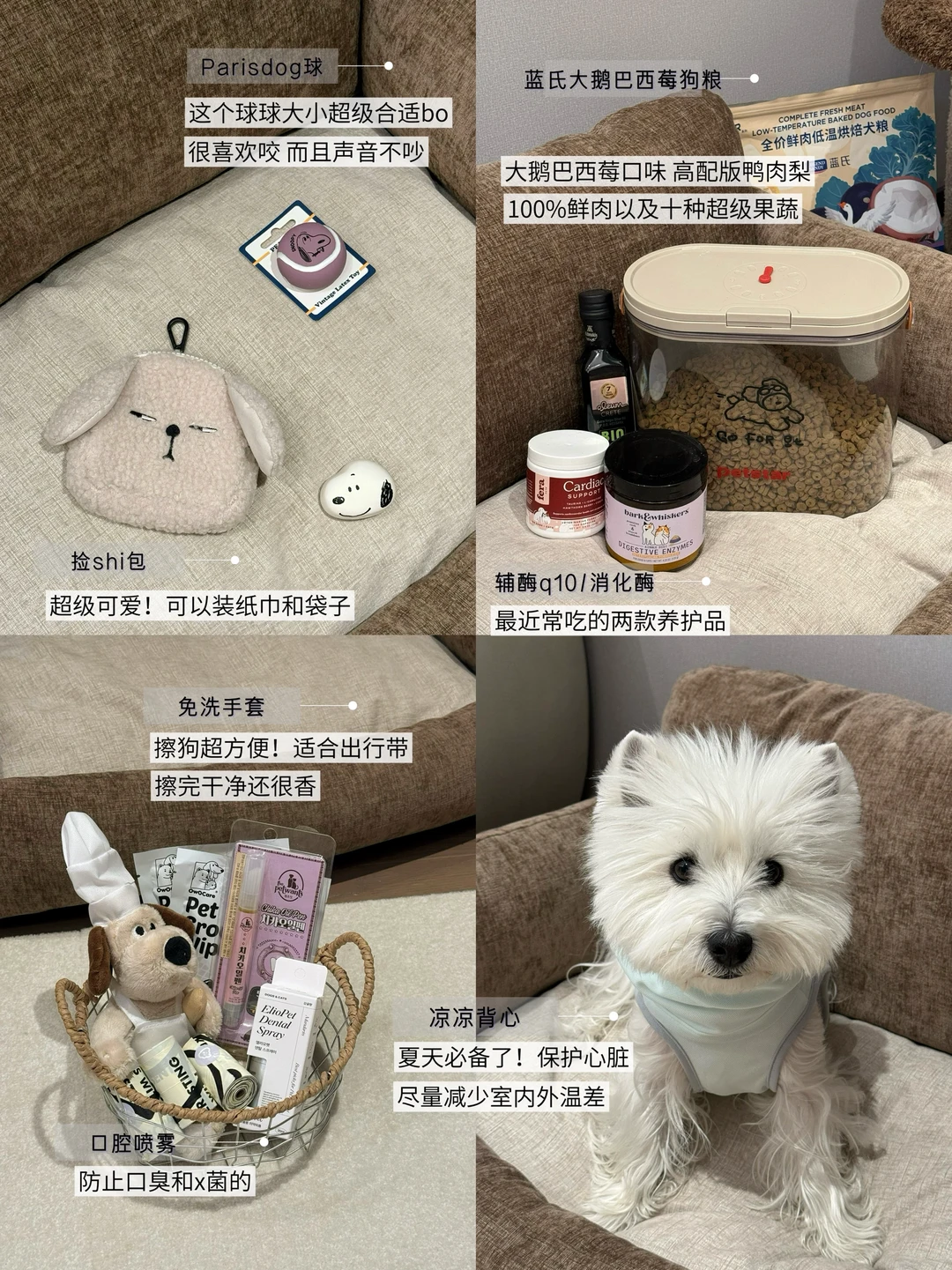 养狗5年｜整理一些大促期间一直回购的好物