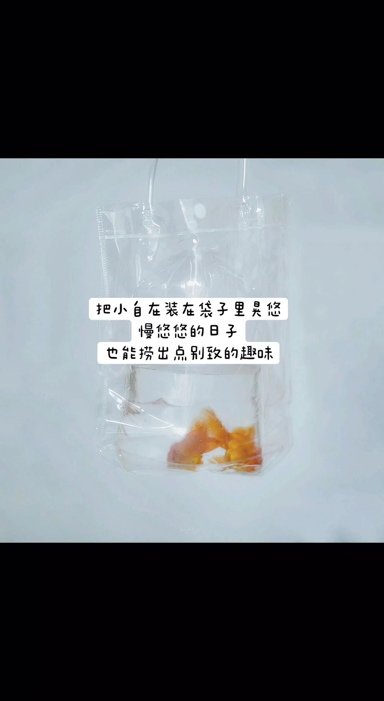 🍯透明袋子里蜷着蜜色时光，慢煮的日子竟熬出琥珀光✨。把自己当颗糖，慢慢融成生活