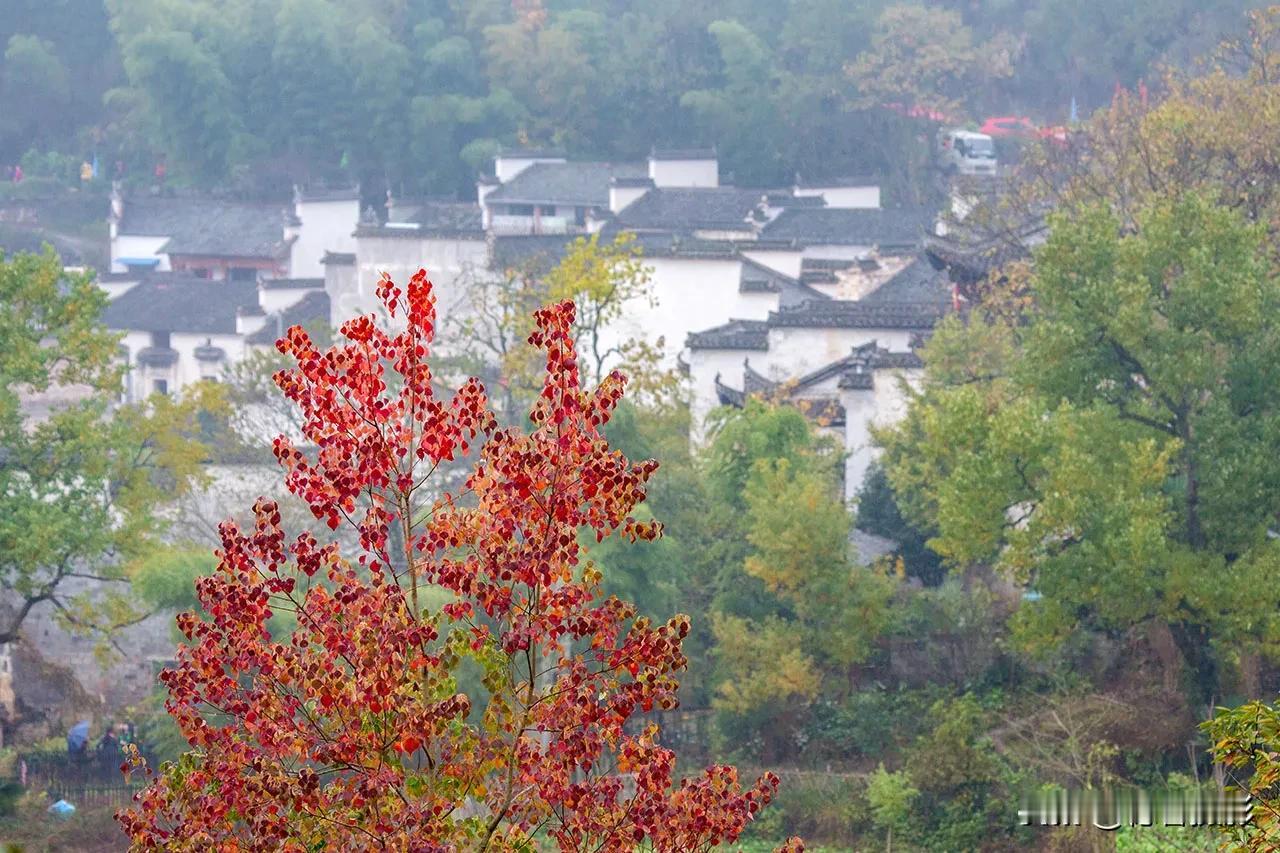 【每日一景20240330】拍于安徽省黟县塔川村#原创摄影# #人文风光摄影圈#