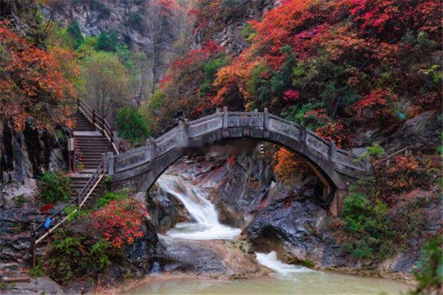 陇南山水画卷攻略陇南山水赏玩攻略划分四条主题游览线路。峡谷生态科普线包含 5A 