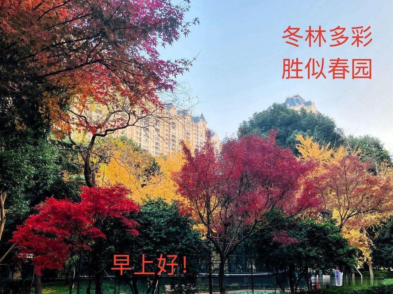 分享一下你随手拍下的照片