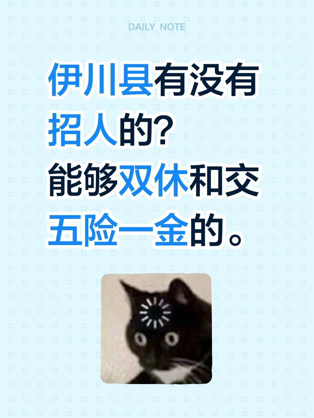 伊川县有没有招人的？ 能够双休和交五险一金的。