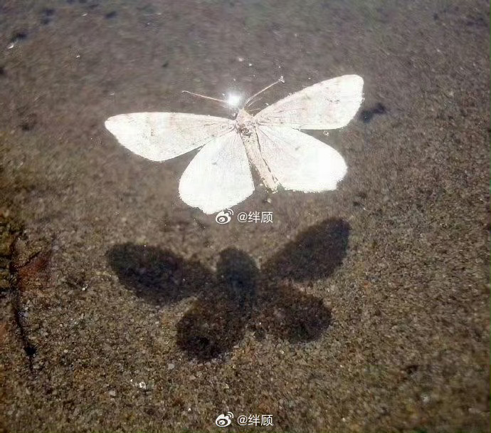 秒转，困扰已久的事定会迎刃而解。 