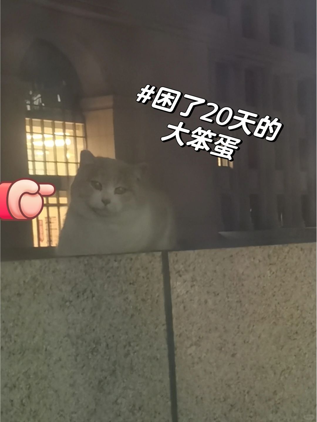 浅浅下来咯