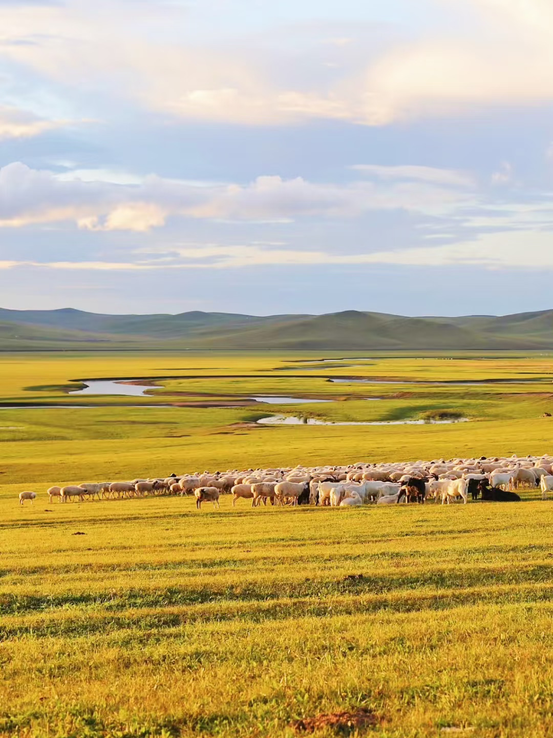 一次性说清楚呼伦贝尔怎么玩🍂吃喝玩乐攻略