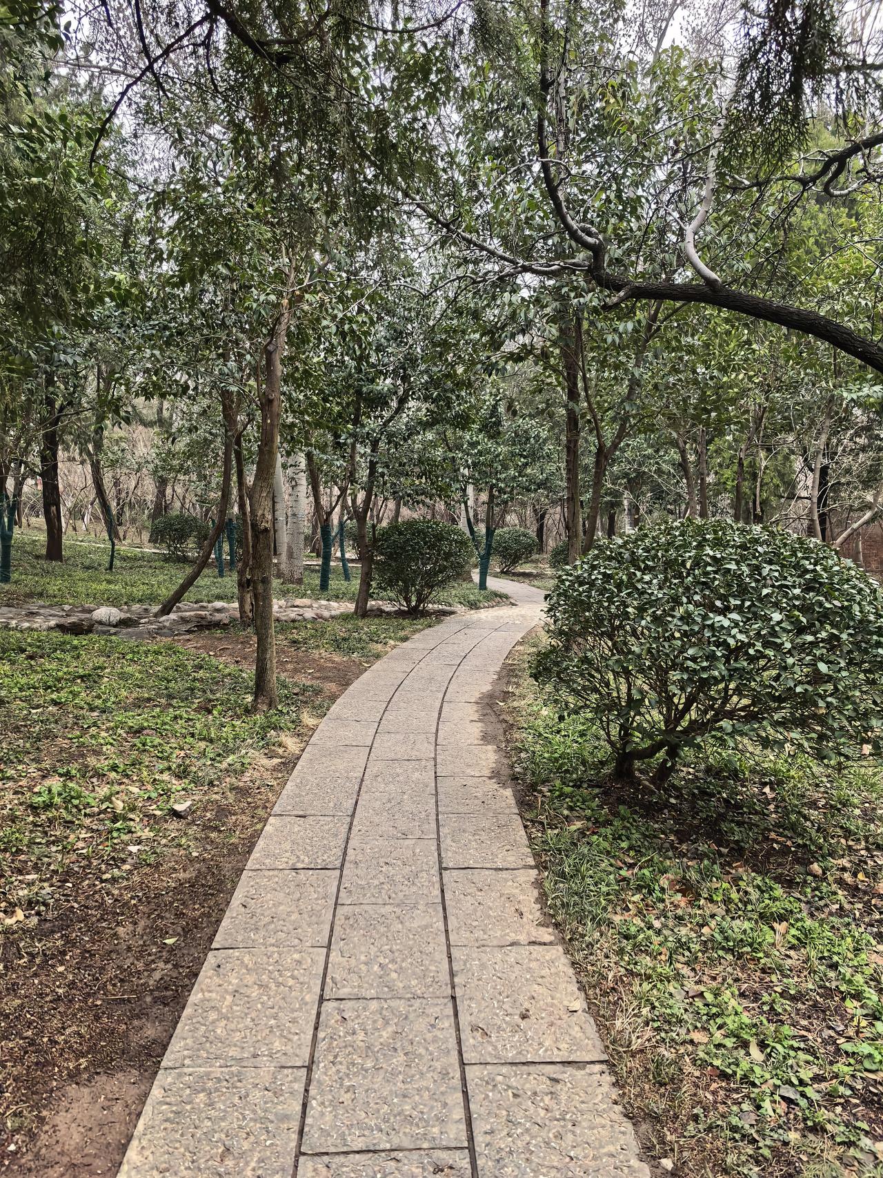 晒图笔记大赛身体健康最重要。