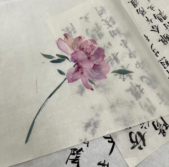 人生中每一个重要的选择都不能被别人拖后腿，哪怕是你很亲近的人。这辈子的旅程啊，只
