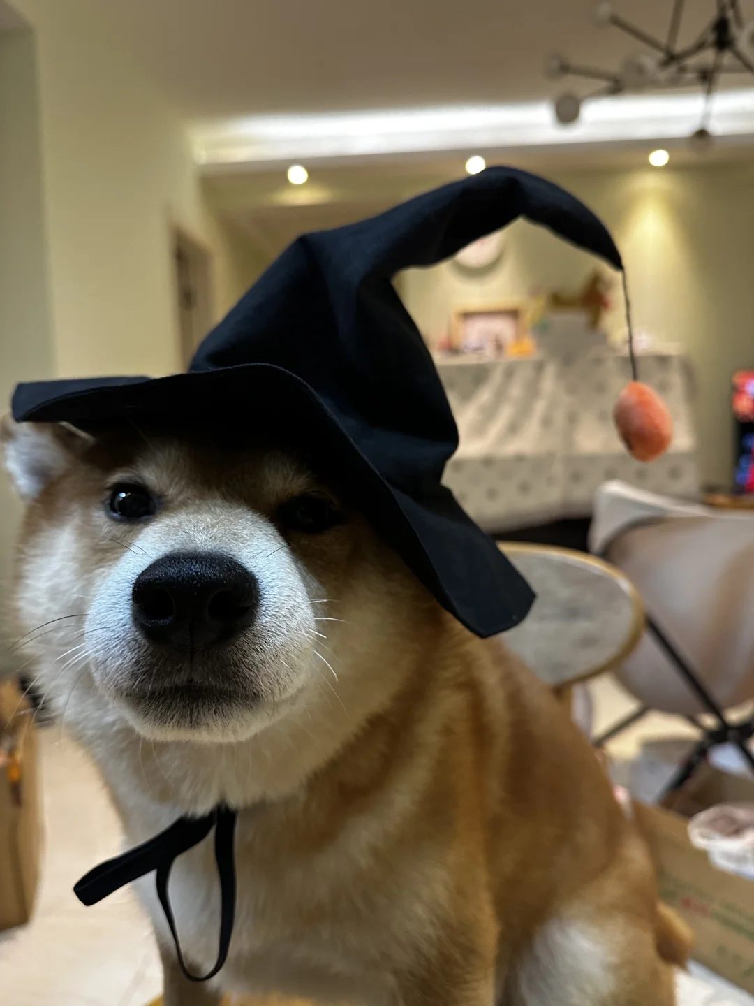 智障感