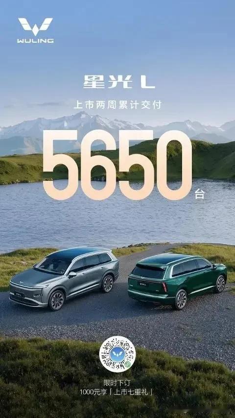 📝【2026买车避坑指南：预算党看这里，大六座真香定律来了！】

2026年想