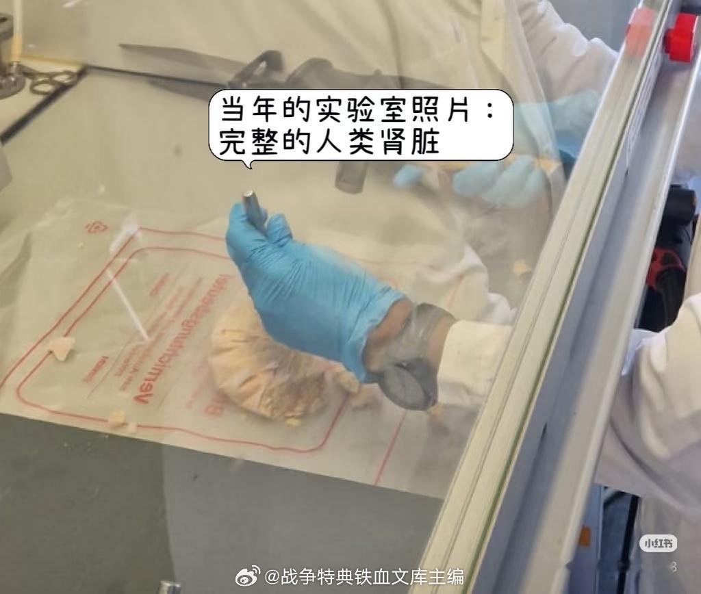 为什么一堆人扒牢A的身份，但绝大部分网友都毫不在意呢？实际上就是被牢A开了灵视之