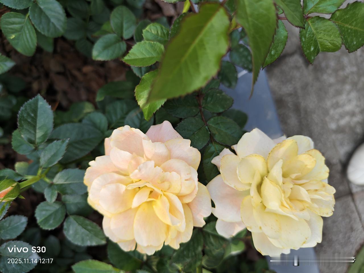 家乡都有好风光