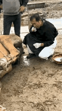 何苦呢，大家都同是一类。