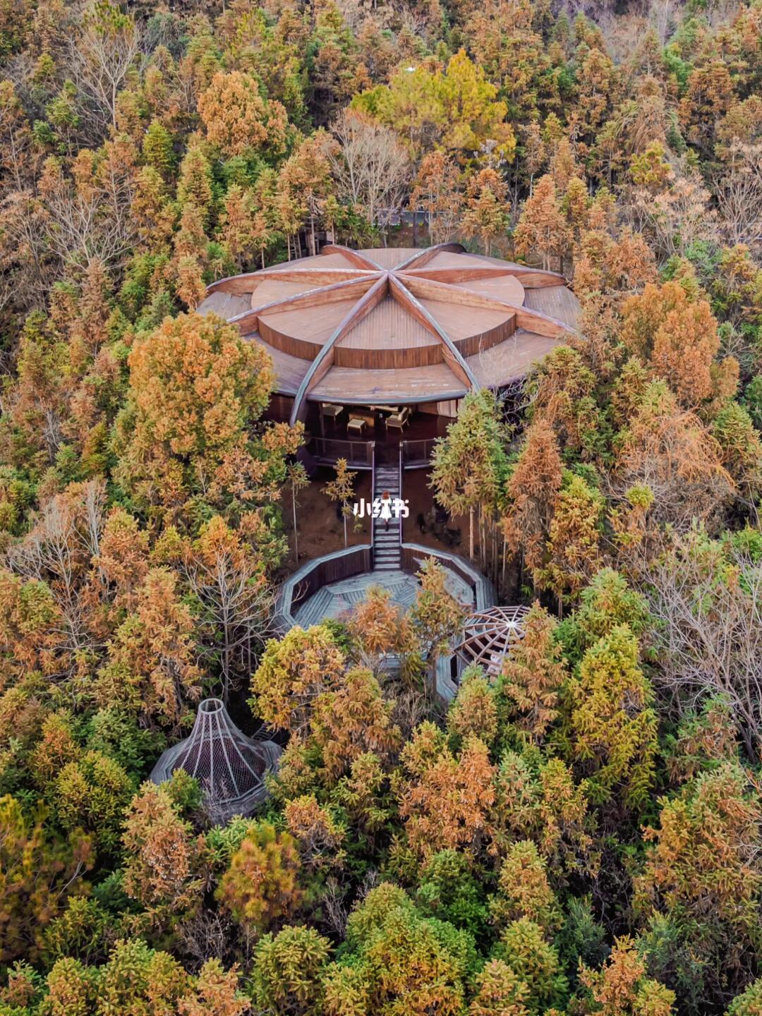 为了这个树屋，我特意飞了一次黄山‼️