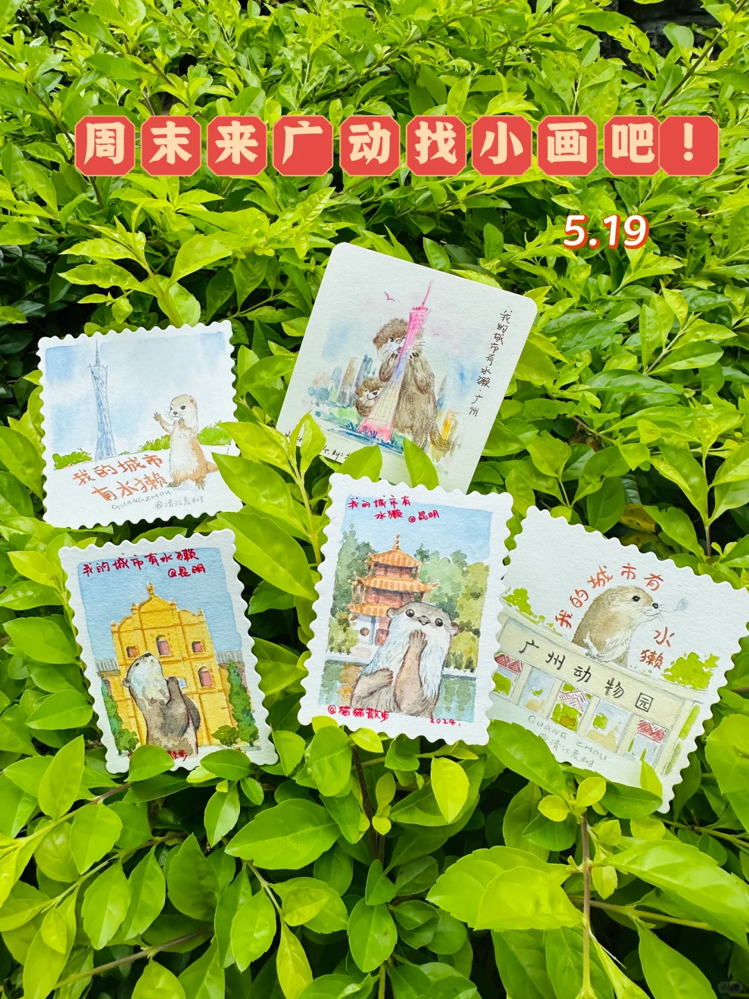 明天有人来广动吗？去水獭馆找小画吧～（5.19）