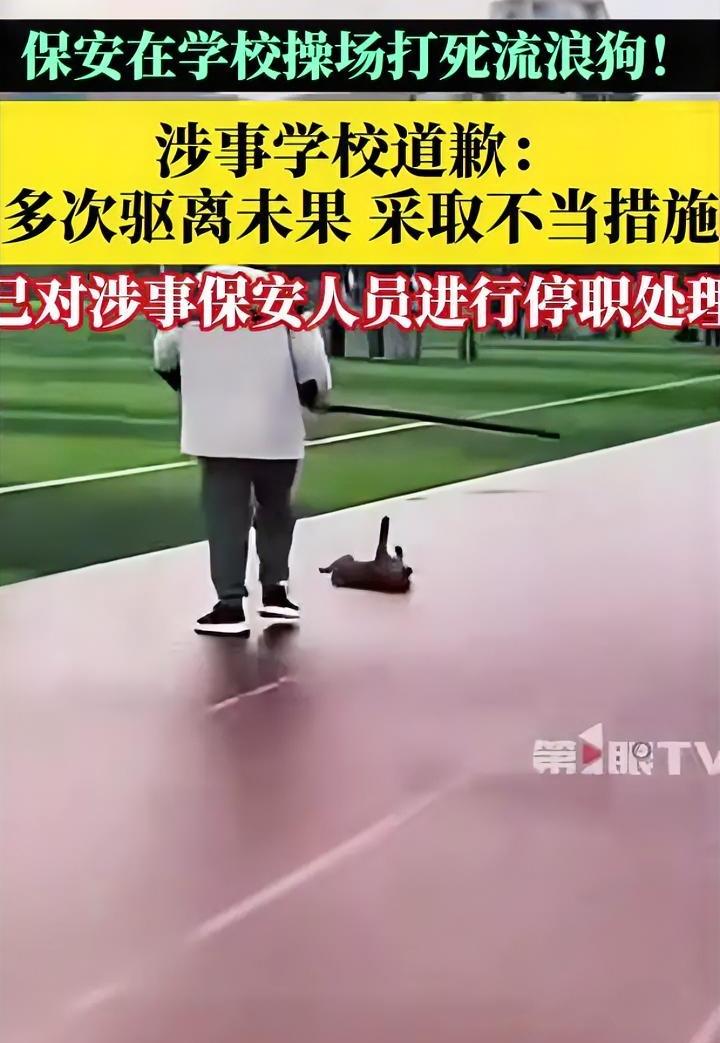 最后还是保安背锅，流浪狗进校园，保安驱离它不走，最后一棍打死。
这一打不要紧，引