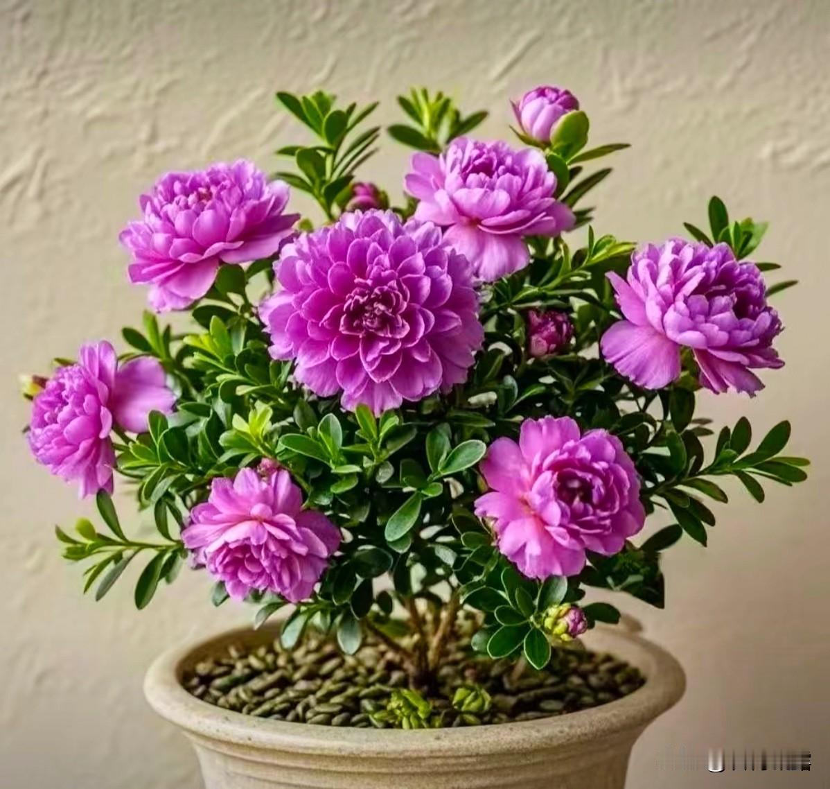 心态胜过年龄，
微笑胜过颜值，
健康胜过金钱，
三观胜过城府，
无论经历过什么，