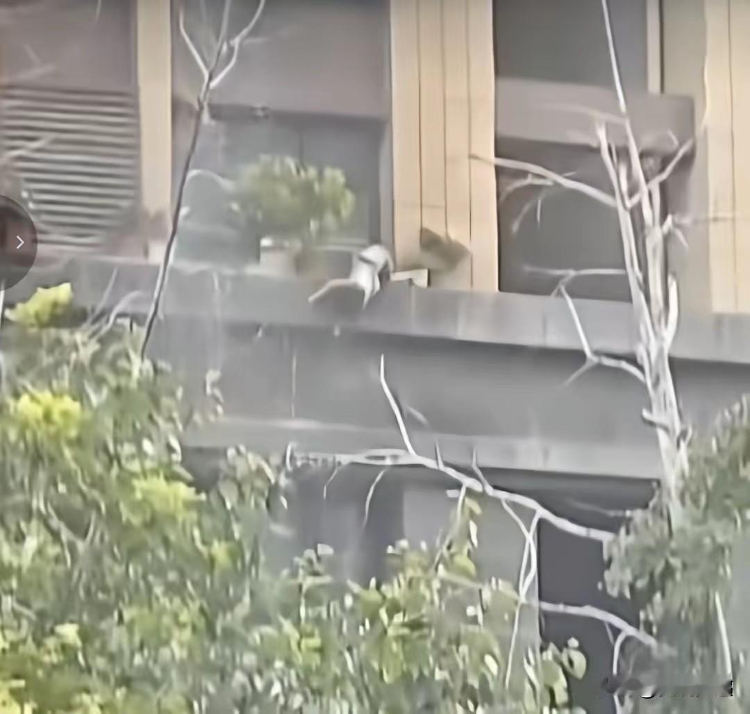 消防员竟然是劳务派遣人员，真真的意难平啊！