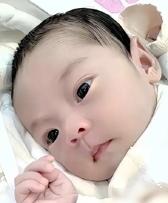 侄女没有生育能力，就抱养了一个儿子，是刚剪了脐带就抱来了，听说是女孩子未婚先孕，