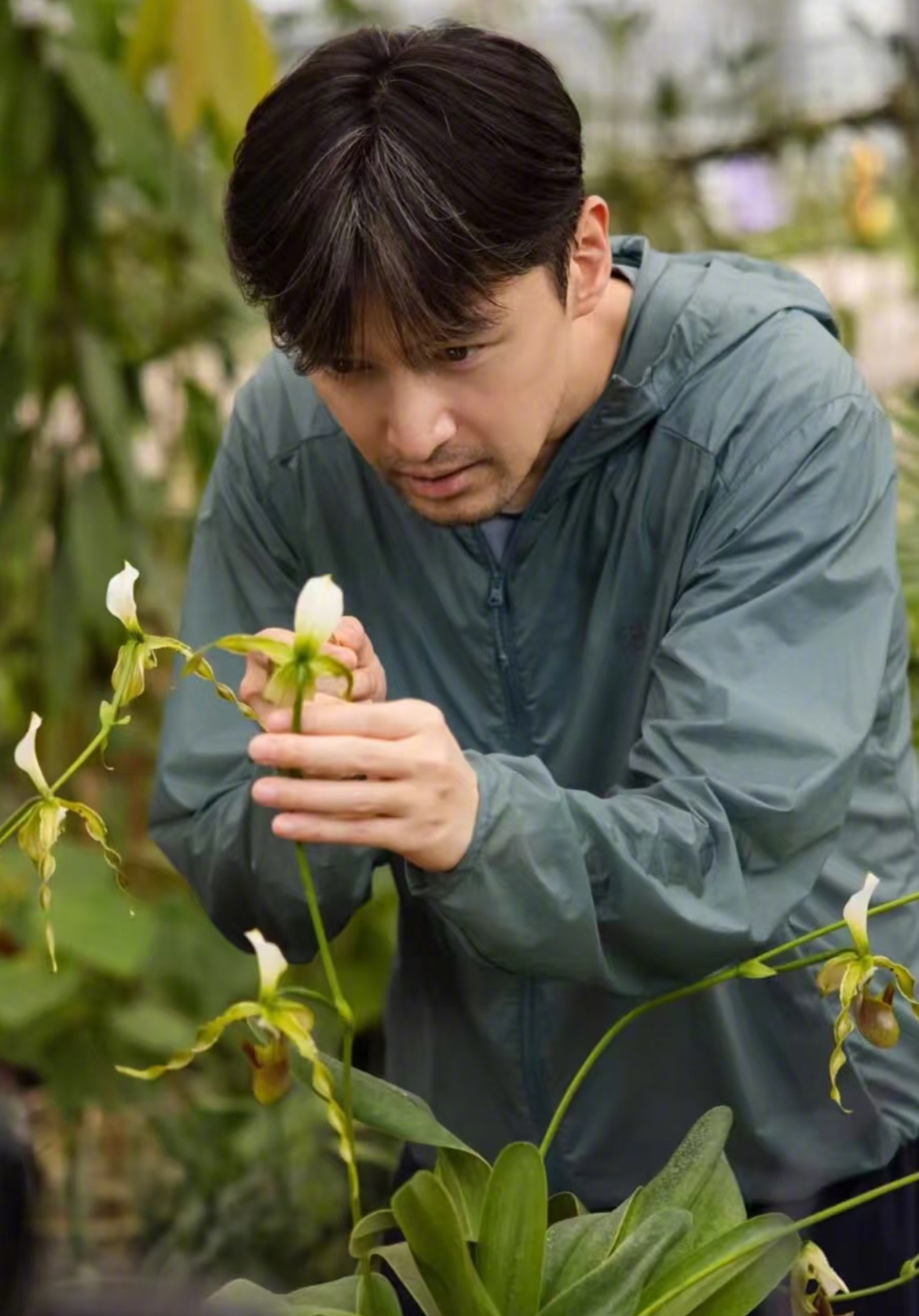 胡歌说接下来去高原进组拍摄一部电视剧，目前看来就是正午的