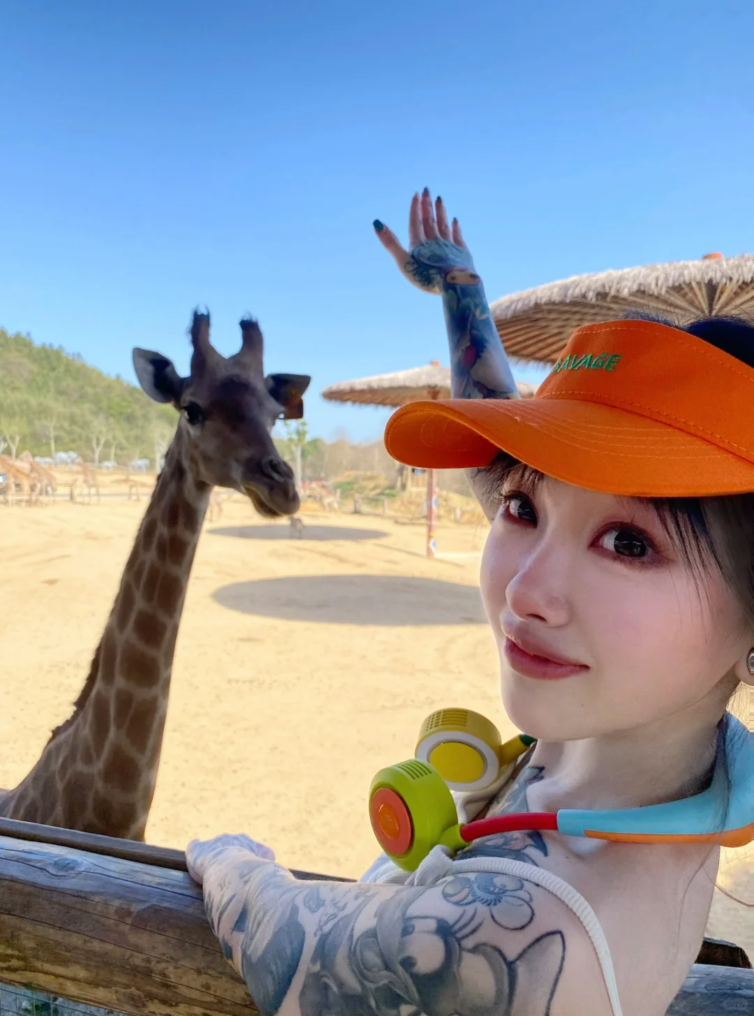 杭州野生动物园 比美照有杀伤力的是生命力