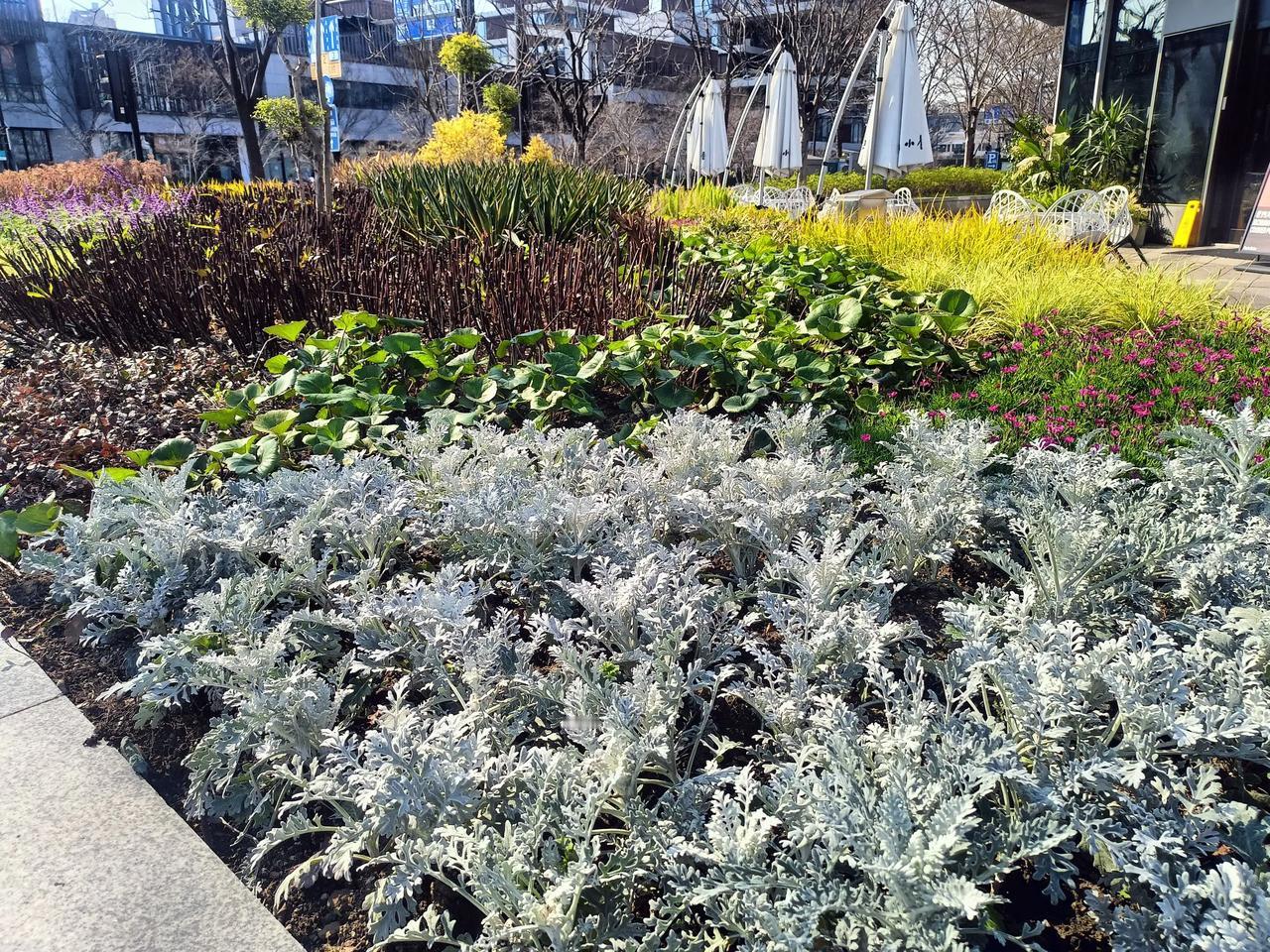 春日生活打卡季