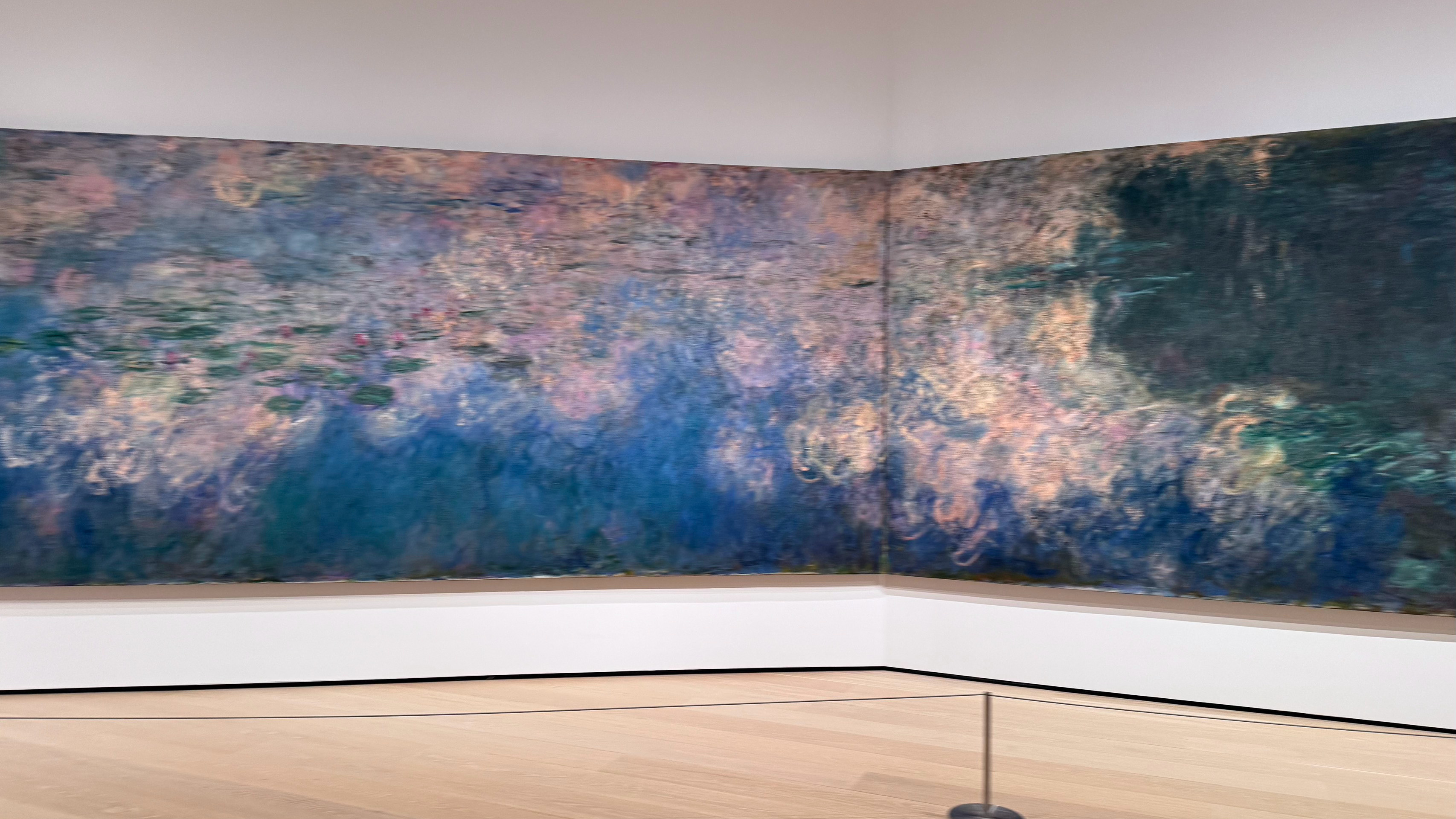 📍城市森林的一只猎豹 MOMA       The Monet Water L