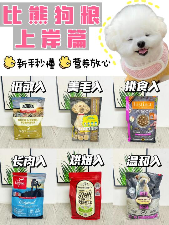 新手养比熊不会选狗粮？听过来人说两句