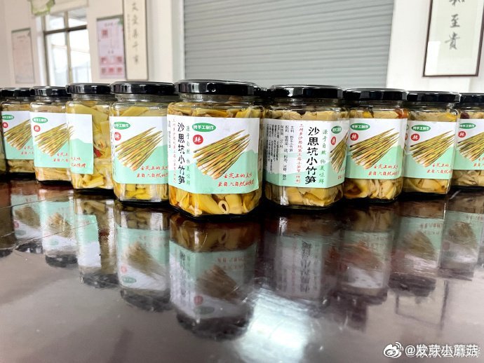 台州小笋打破季节限制让村民常年有钱赚 台州天台三州乡沙岭村依托500余亩高山竹林
