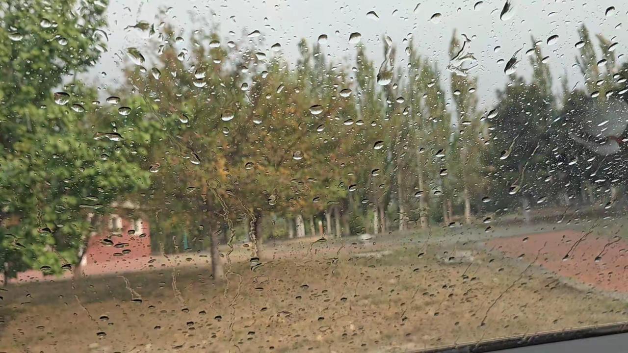 怎么我刚去跑步一秒钟就下了这么大的雨！ 倒霉熊🐻🐻🐻🐻🐻🐻🐻猛男蹲