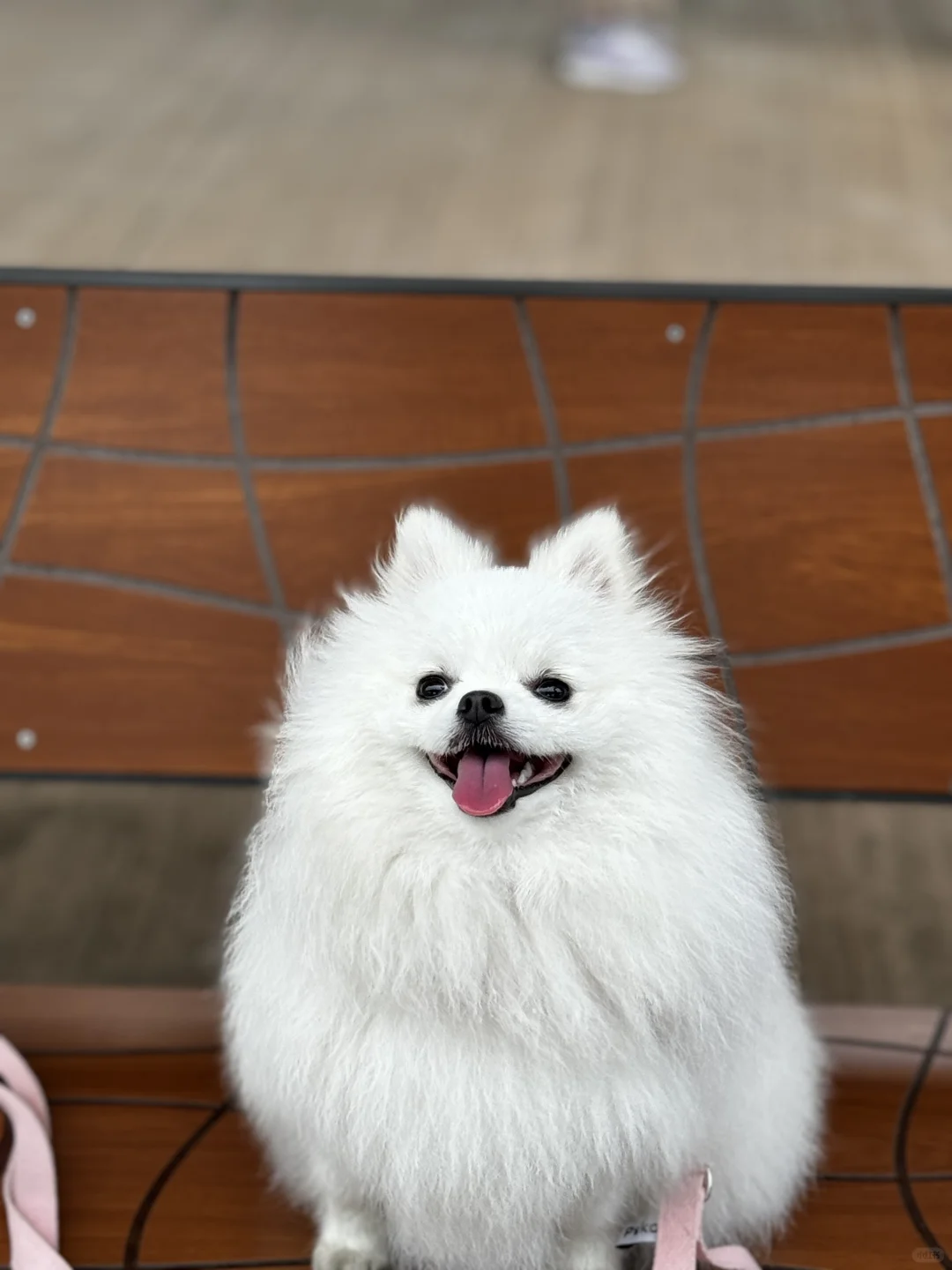 在韩国被尾随了