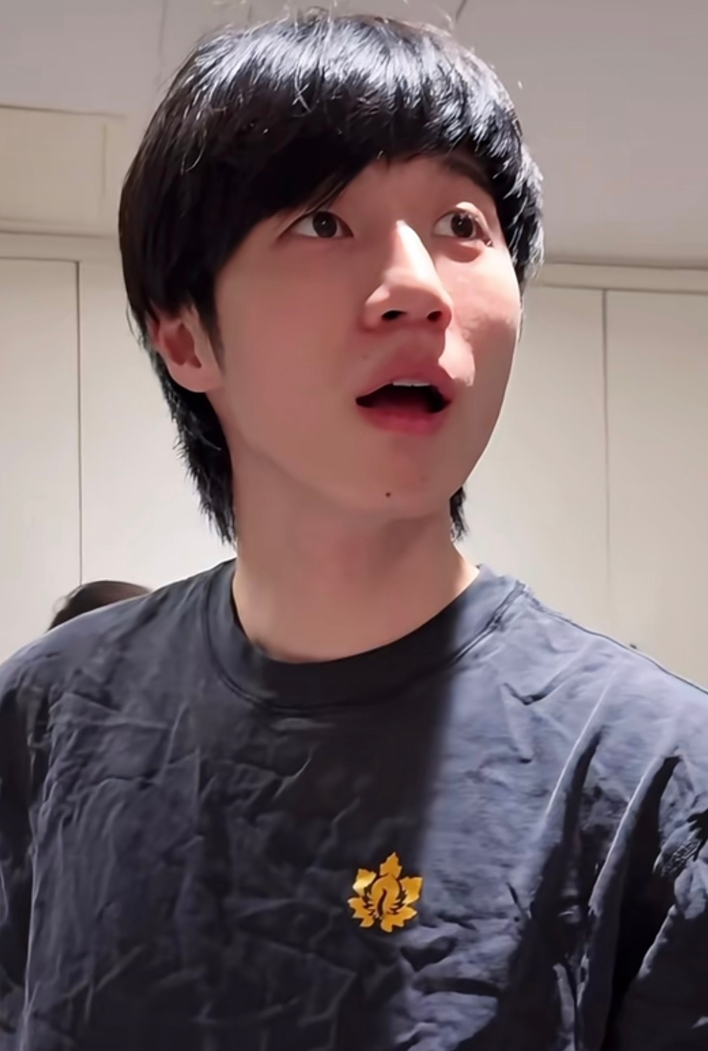 ：谁是世界上最可爱的小狗呀，谁是这个世界上最帅的小狗呀，谁是世界上最棒的小狗呀：