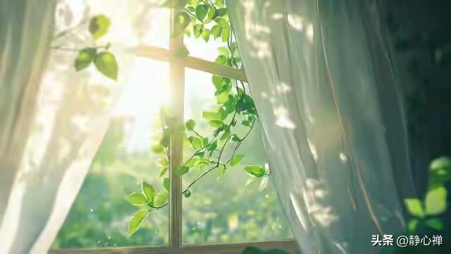 早餐吃什么？我每天认谁的健康早餐就是：大白馒头，半个南瓜或白薯，水煮鸡蛋，一根黄