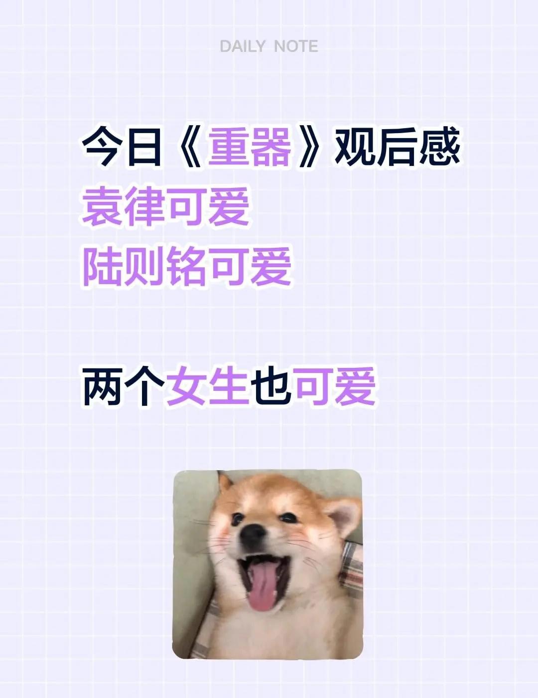 重器今天看着是剧情往好的方向发展了。今日《重器》观后感袁律可爱陆则铭可爱两个女生
