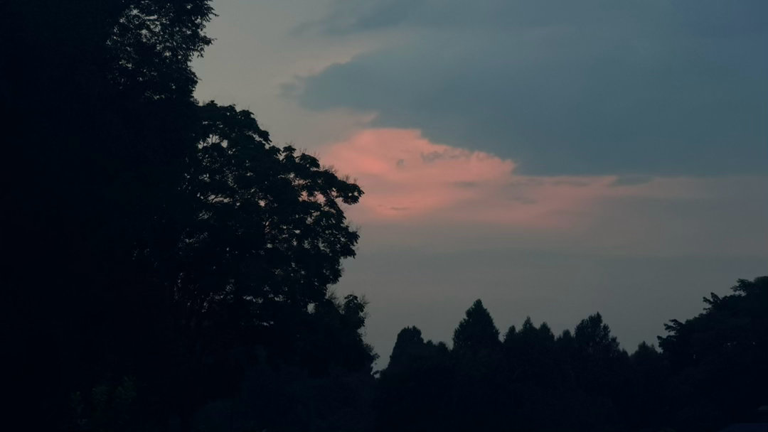 这是四川安岳县的 SKY，欢迎来做 NOMAD!祝你在柠檬之乡，抵达内心的自在。