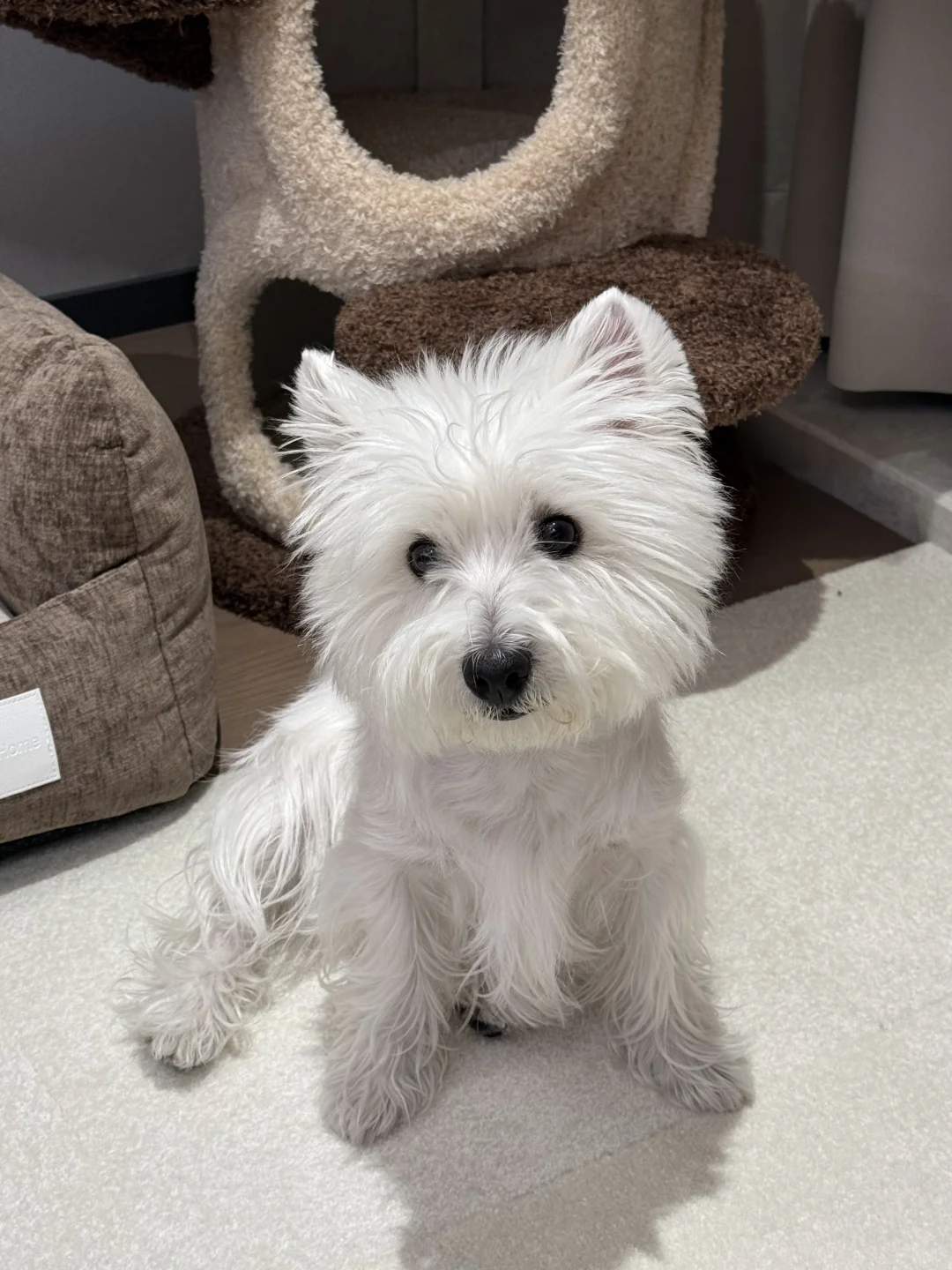 宝想当颜值博主 能行吗