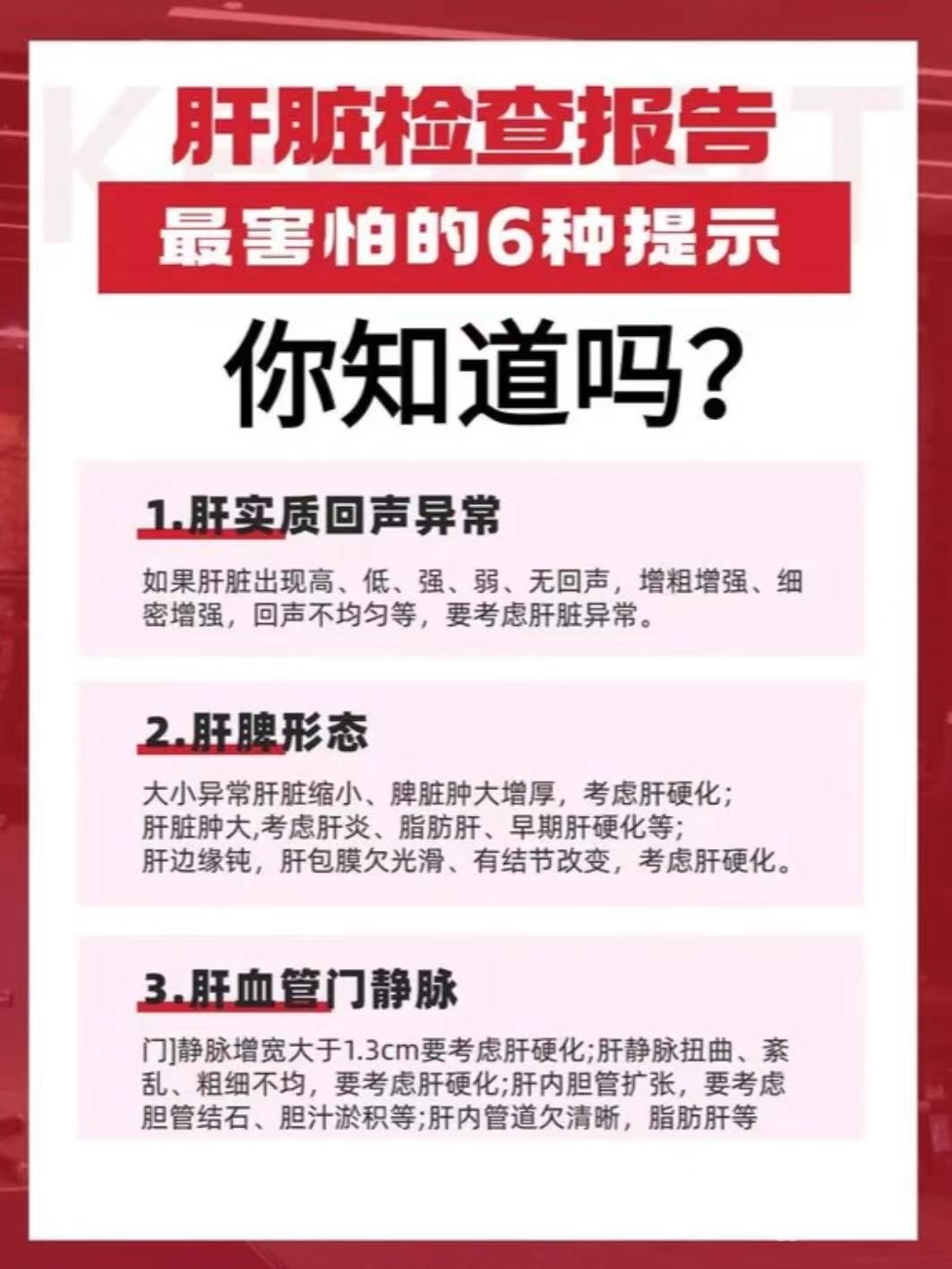 山东  医学科普 肝脏