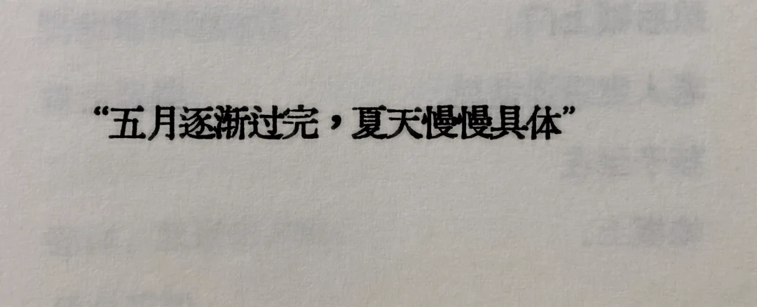“卧槽，真的是太爱这个了”