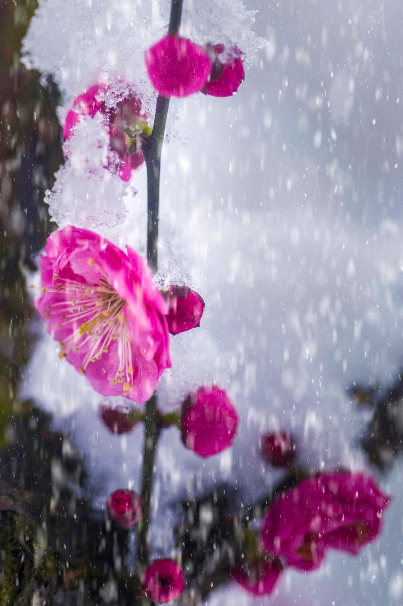 周六上午，新能源领域再传利好消息。据媒体报道，全球最大、我国首个百万千瓦级海上光