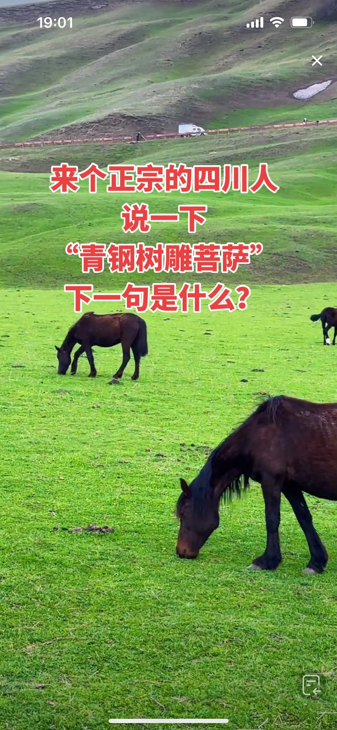 哪个晓得下一句，算你牛！