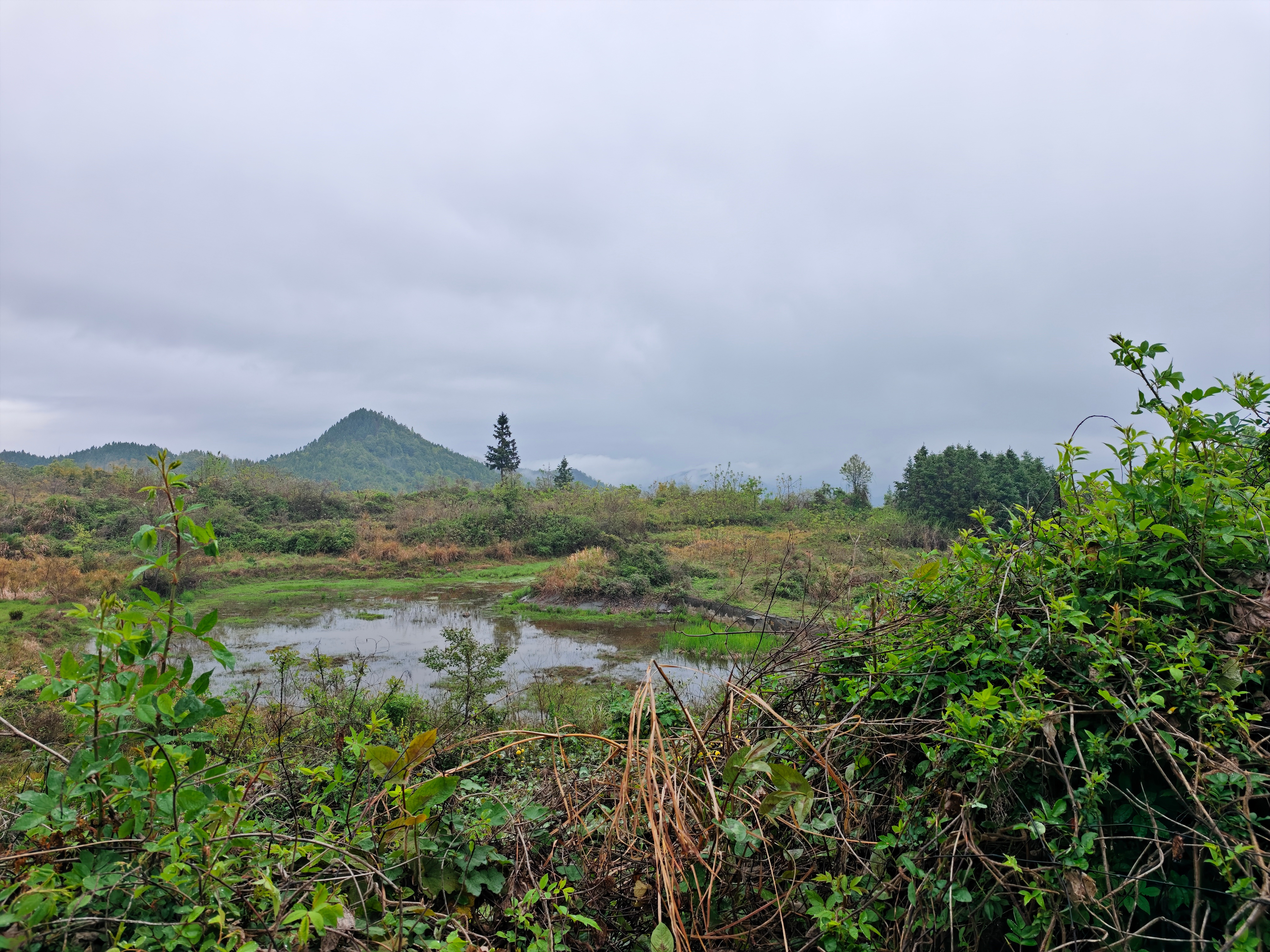 A股 希望A 股市场走出困境，继续健康向上！ 