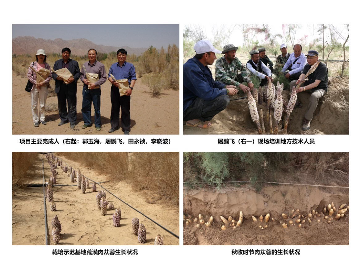 台州黄岩籍科学家拿下国家级重磅奖项2025年度国家科学技术奖揭晓，黄岩籍九三学社