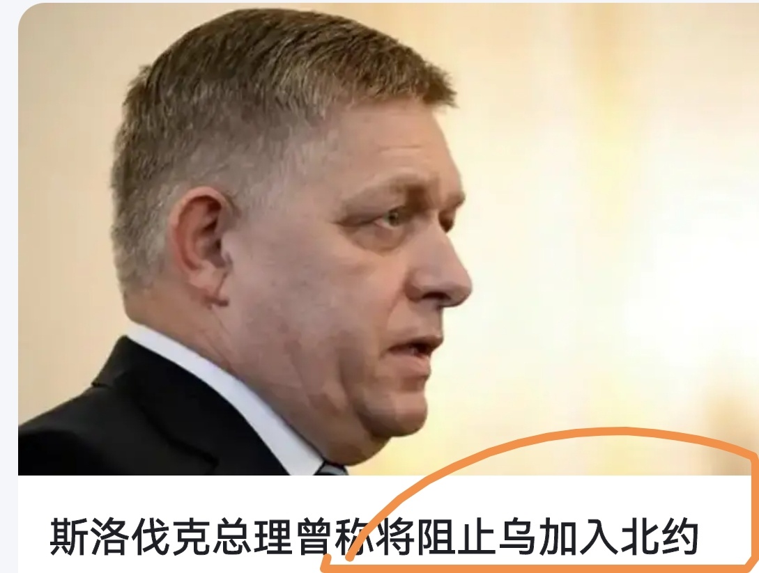 菲佐曾经阻止乌克兰加入北约，不知道是不是遭枪手袭击的理由。斯洛伐克这种闹剧没法跟