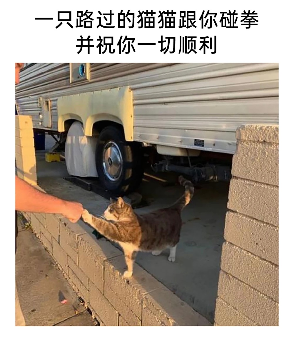 分享图片 