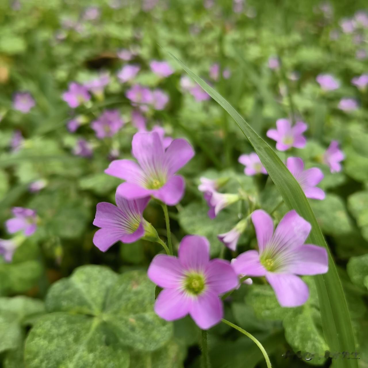 看透本质：所有战争，从来都不是为了打仗而打仗！
 
把格局拉高，抽象看世界局势，